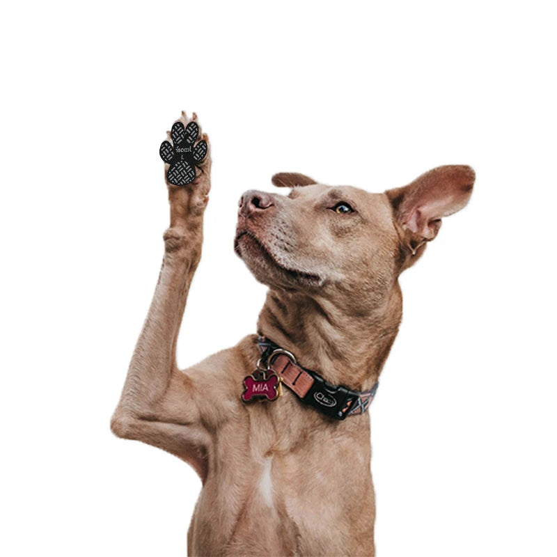 Dogstow GripPads | Stick-On Paw Traction Pads for Dogs — Stop Slipping on Hard Floors (4-Pack)