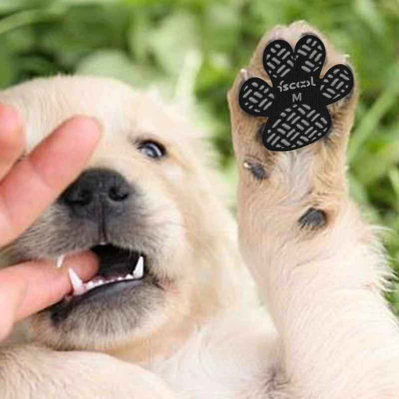 Dogstow GripPads | Stick-On Paw Traction Pads for Dogs — Stop Slipping on Hard Floors (4-Pack)