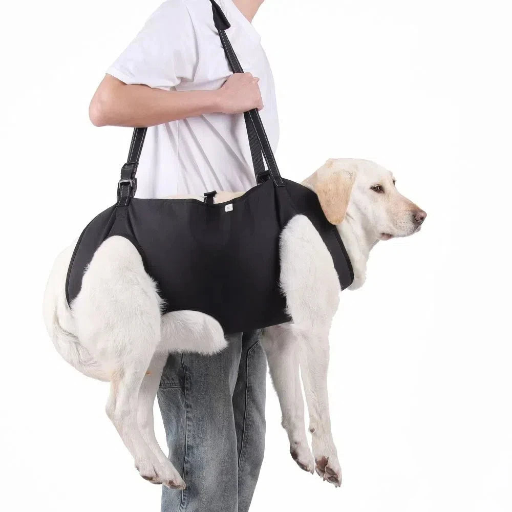 Dogstow LiftAssist | Rear-Support Dog Lift Sling — Padded Hind-Leg Support for Senior Dogs, Stairs & Car