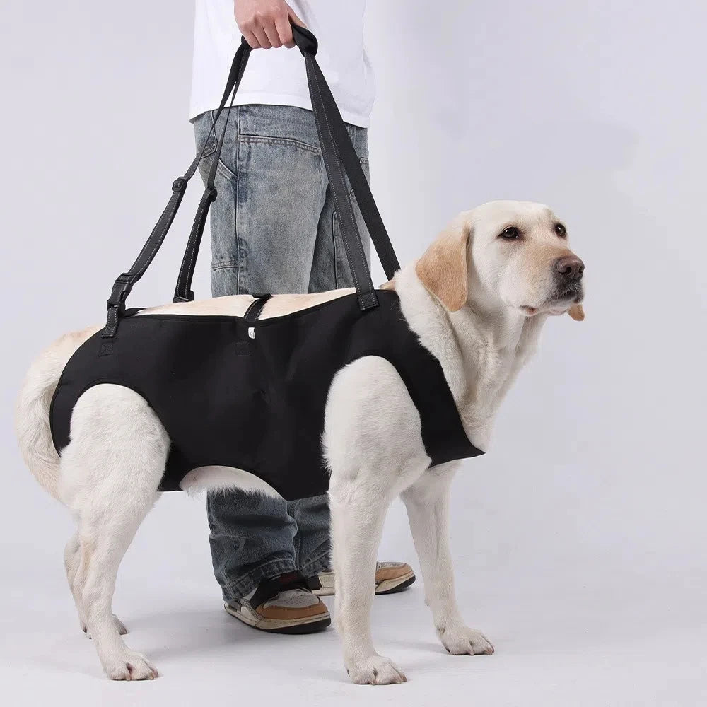 Dogstow LiftAssist | Rear-Support Dog Lift Sling — Padded Hind-Leg Support for Senior Dogs, Stairs & Car