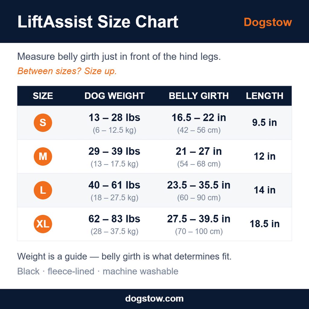 Dogstow LiftAssist | Rear-Support Dog Lift Sling — Padded Hind-Leg Support for Senior Dogs, Stairs & Car