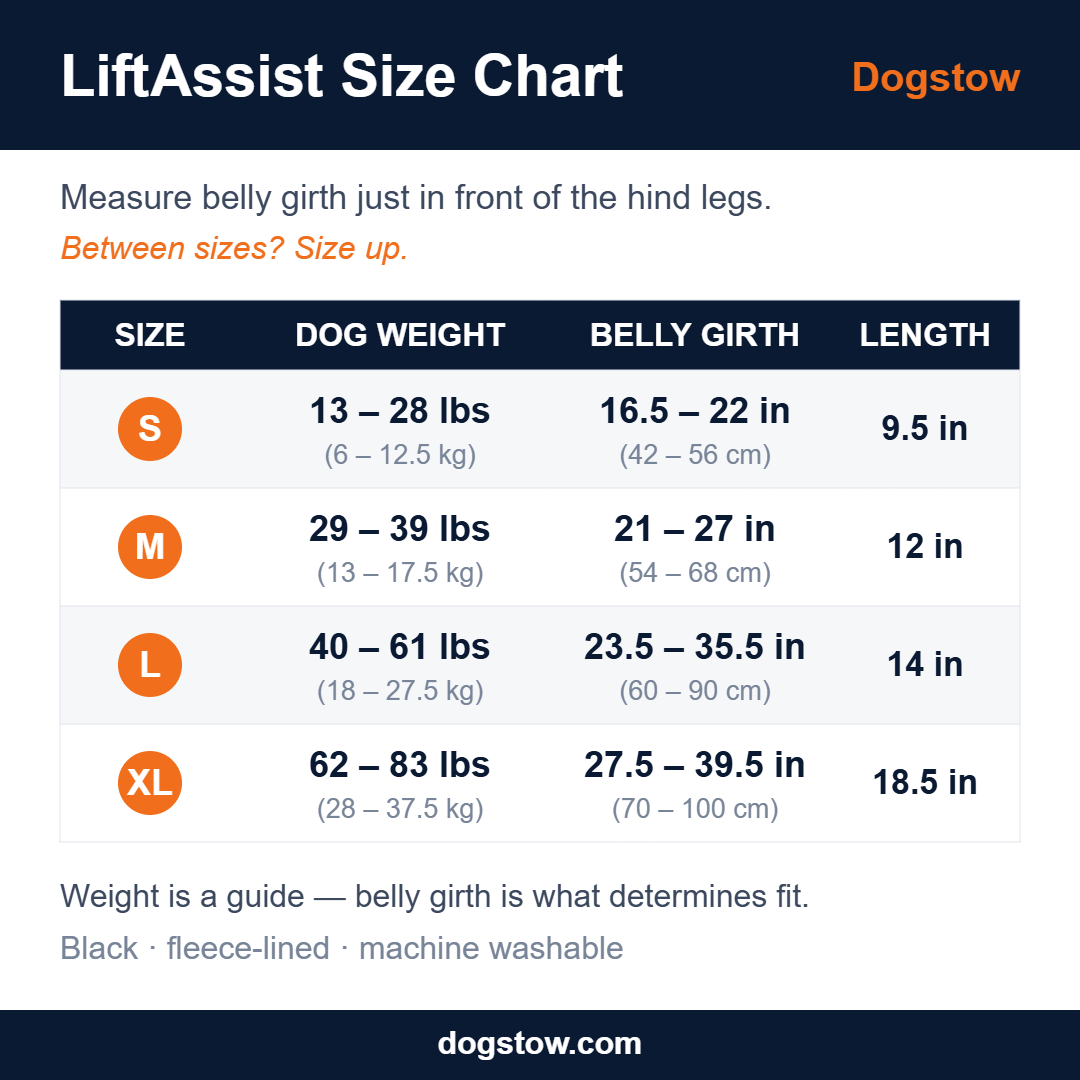 Dogstow LiftAssist | Rear-Support Dog Lift Sling — Padded Hind-Leg Support for Senior Dogs, Stairs & Car